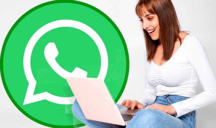 भारत में WhatsApp Support से Contact करने के तरीके